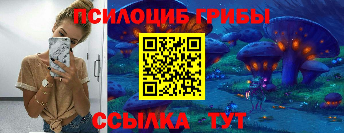 Псилоцибиновые грибы мицелий Рассказово